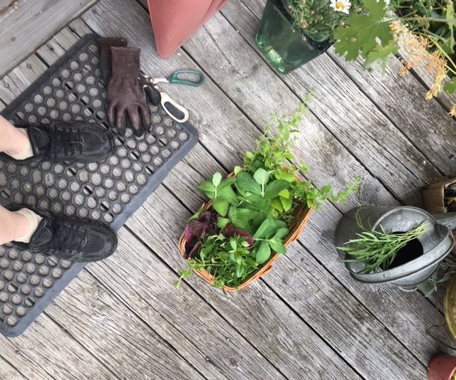 Basket of herbs for Printer's Tea.