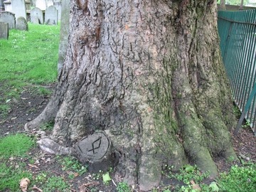 Rune tree
